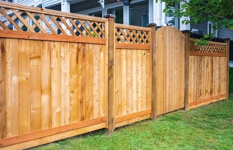 Beautiful fence with lawn