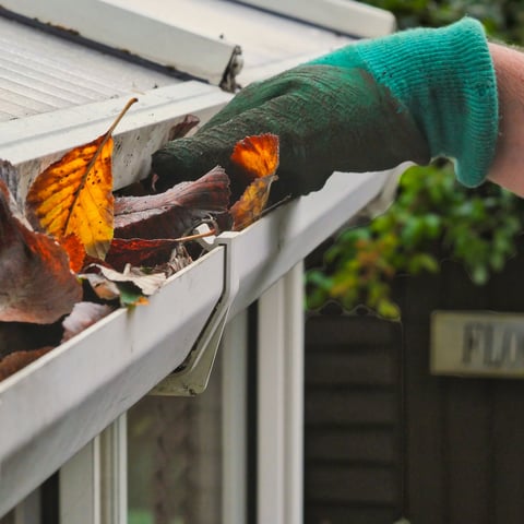 Cleaning gutters leaves